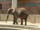 ZOO in Slovakia