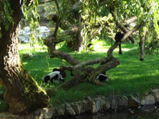 ZOO Bojnice