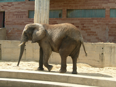 ZOO Bojnice