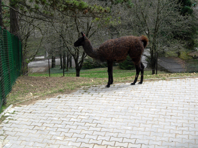 ZOO Bojnice