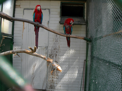 ZOO Bojnice