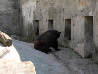 ZOO Bojnice