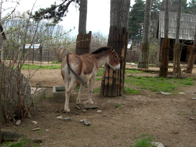 ZOO Bojnice